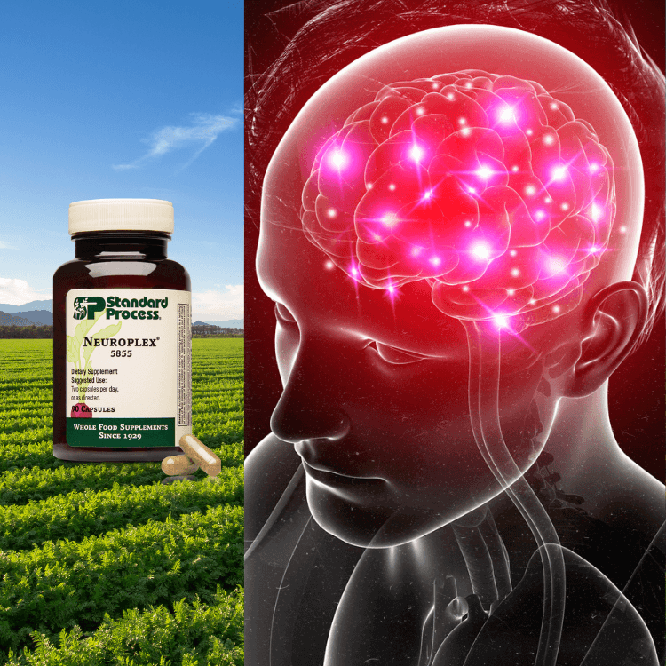 Standard Process Neuroplex - 90 Capsules - Supports Nervous System & Cognitive Function