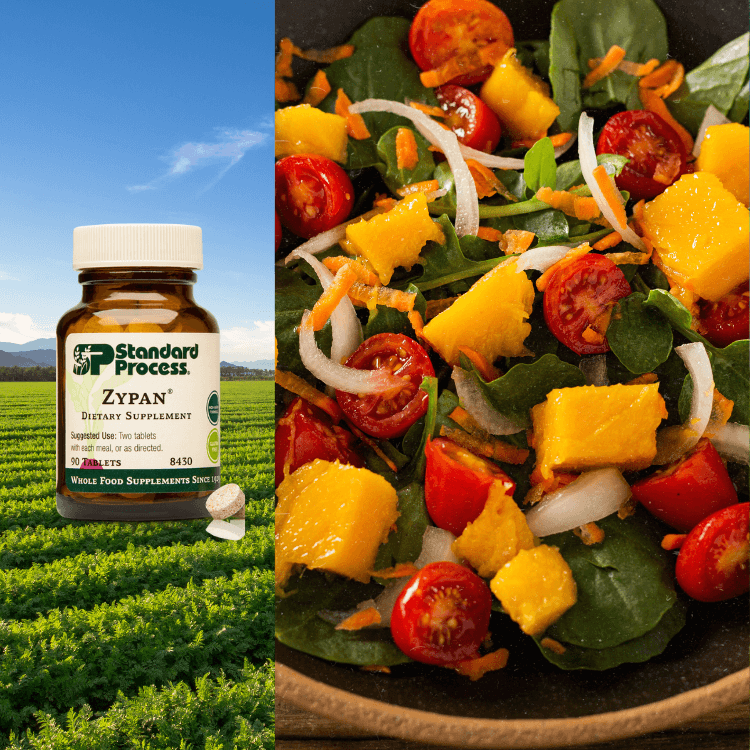 Digestive Health Supplements | Standard Process® & MediHerb