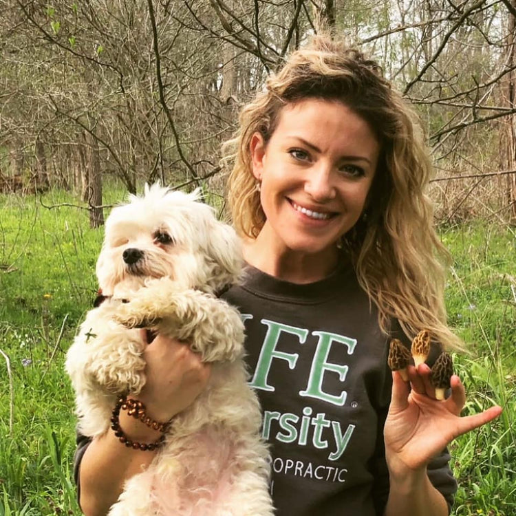 Shop For Dogs