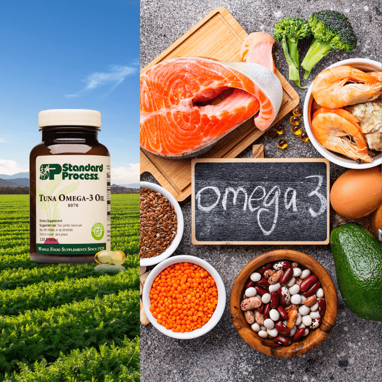 Fish Oil & Omega Supplements