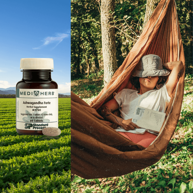 Sleep, Stress & Mood Supplements