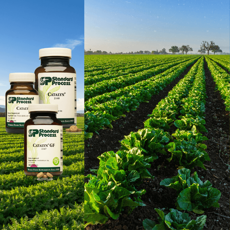 Standard Process® Supplements Nutritional Vitamins, Minerals, Herbs