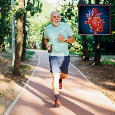 Healthy Cardiovascular System Plan | Instructions and Whole Food Supplements | Standard Process