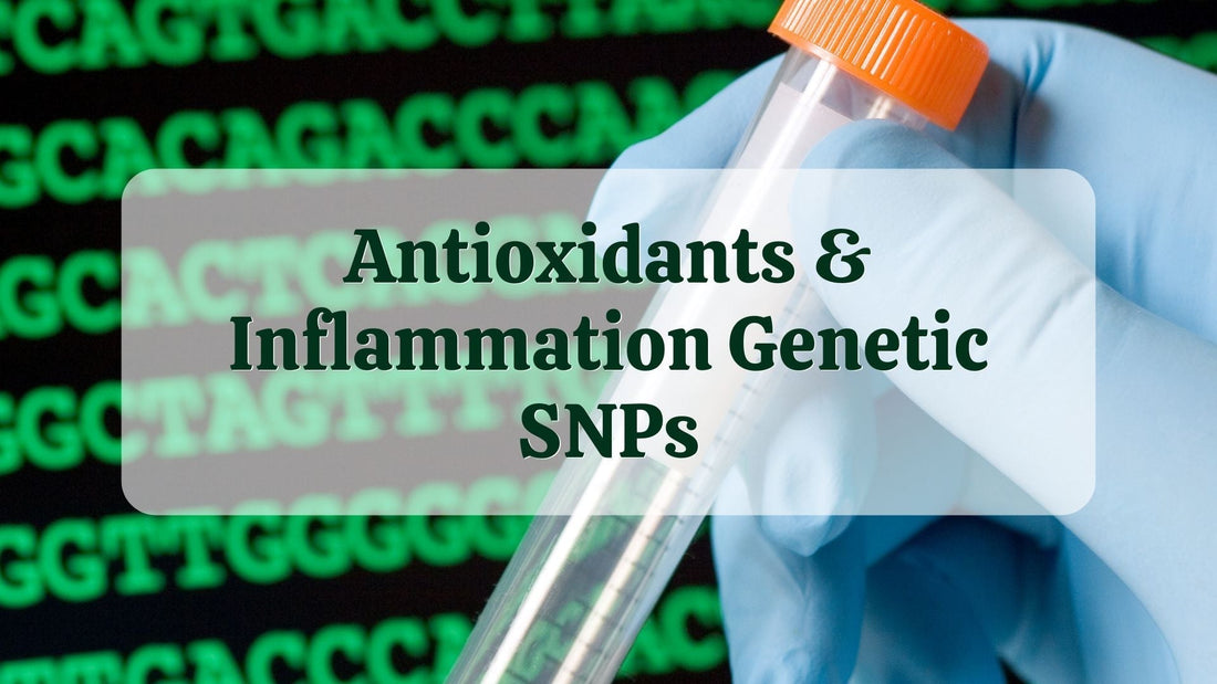 Antioxidants & Inflammation Genetic SNPs | DNA Test Results | Natural Health Gateway