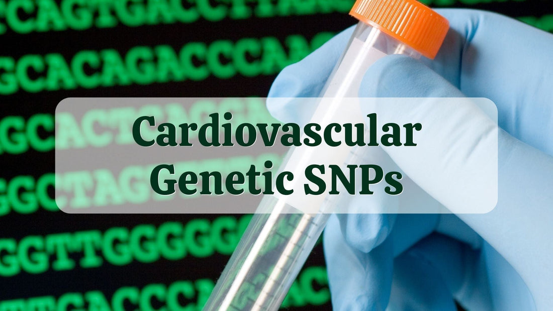Cardiovascular Genetic SNPs | DNA Test Results | Natural Health Gateway