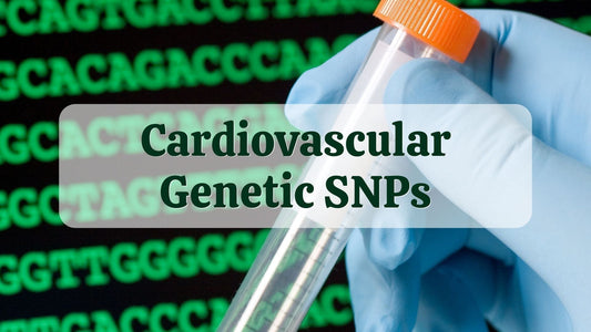 Cardiovascular Genetic SNPs | DNA Test Results | Natural Health Gateway