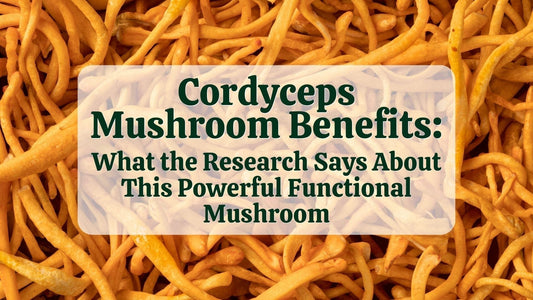 Cordyceps Mushroom Benefits: What the Research Says About This Powerful Functional Mushroom