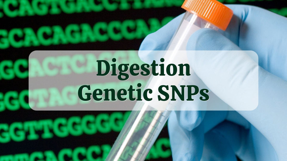 Digestion Genetic SNPs | DNA Test Results | Natural Health Gateway
