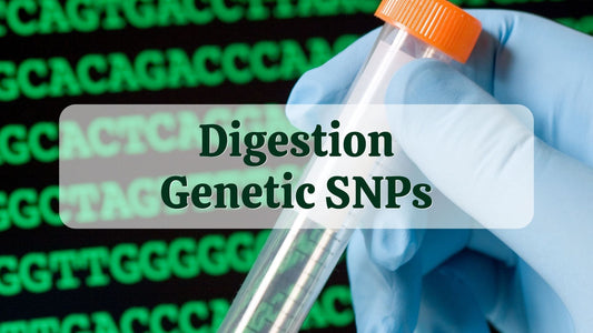 Digestion Genetic SNPs | DNA Test Results | Natural Health Gateway