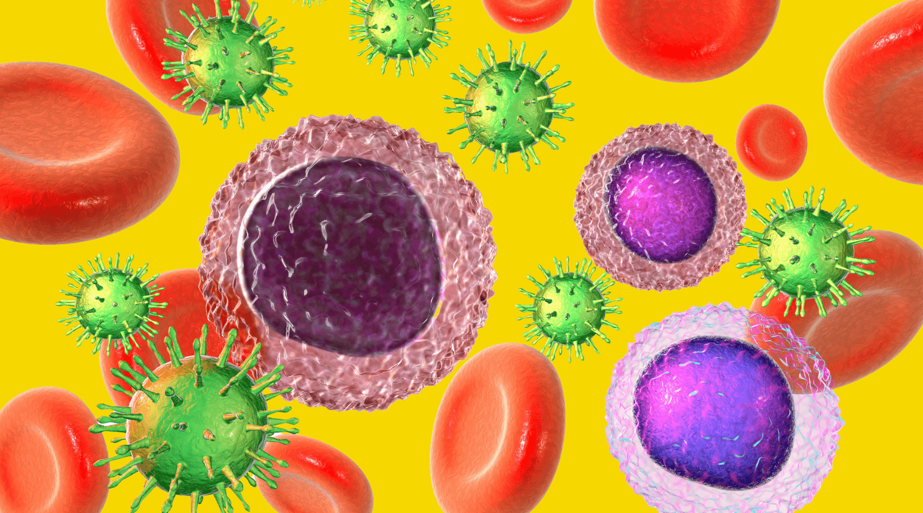 Standard Process® Immune Health Pack Natural Health Gateway