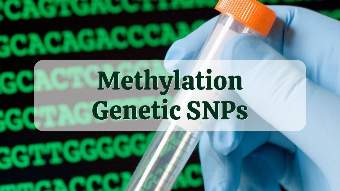 Methylation Genetic SNPs | DNA Test Results | Natural Health Gateway