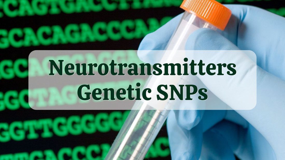 Neurotransmitters Genetic SNPs | DNA Test Results | Natural Health Gateway