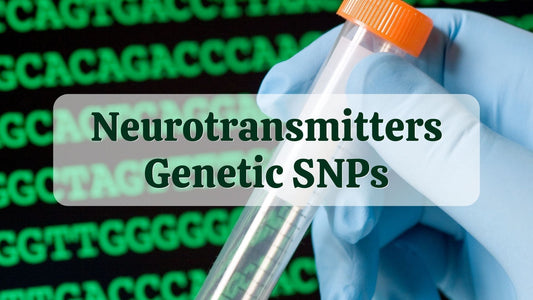 Neurotransmitters Genetic SNPs | DNA Test Results | Natural Health Gateway