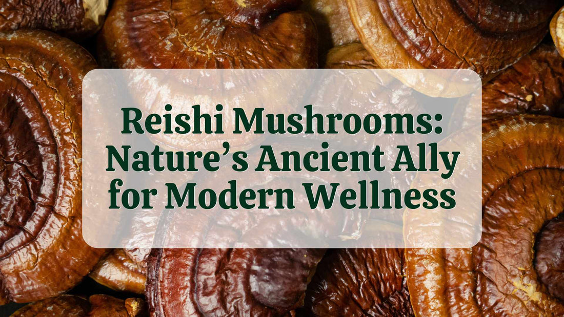 [Article] Reishi Mushrooms: Nature’s Ancient Ally for Modern Wellness | Natural Health Gateway