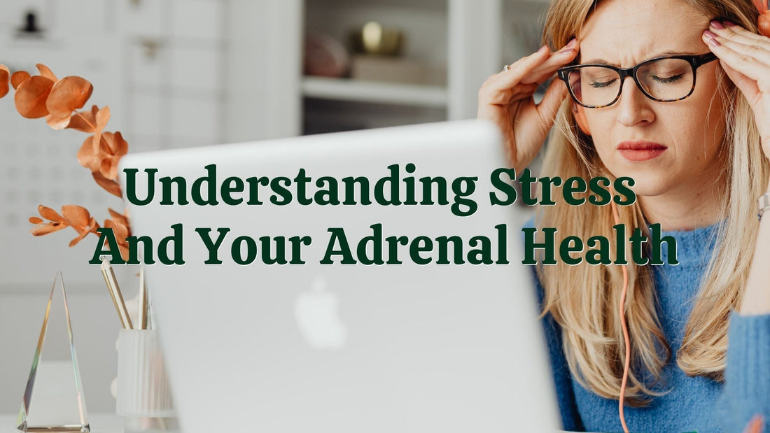 [Article] Understanding Stress And Your Adrenal Health | Natural Health Gateway