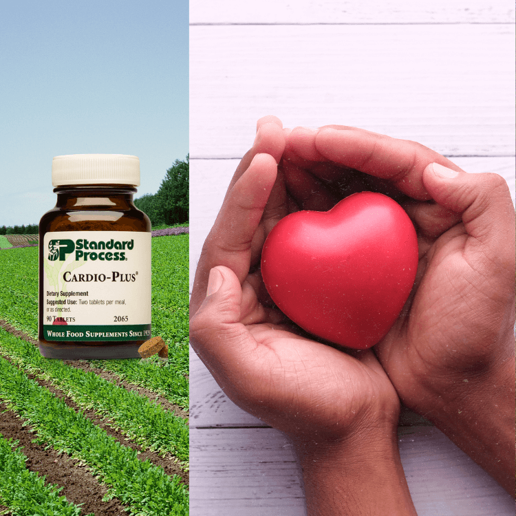Cardiovascular System Supplements