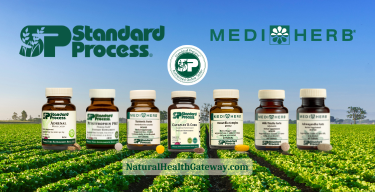 Top Selling Standard Process Dietary Supplements – Natural Health Gateway