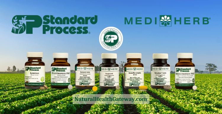 Top Selling Standard Process Dietary Supplements
