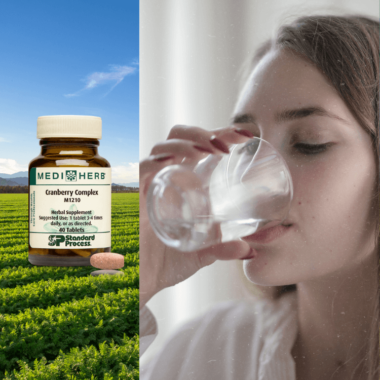 Urinary Health Supplements | Standard Process® & MediHerb® | Vitamins ...