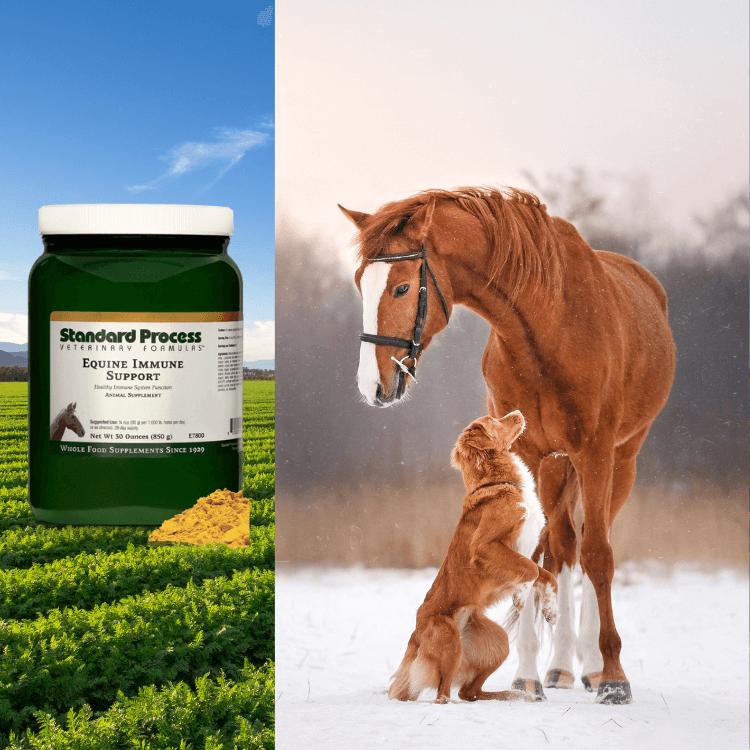 Shop For Veterinary Supplements