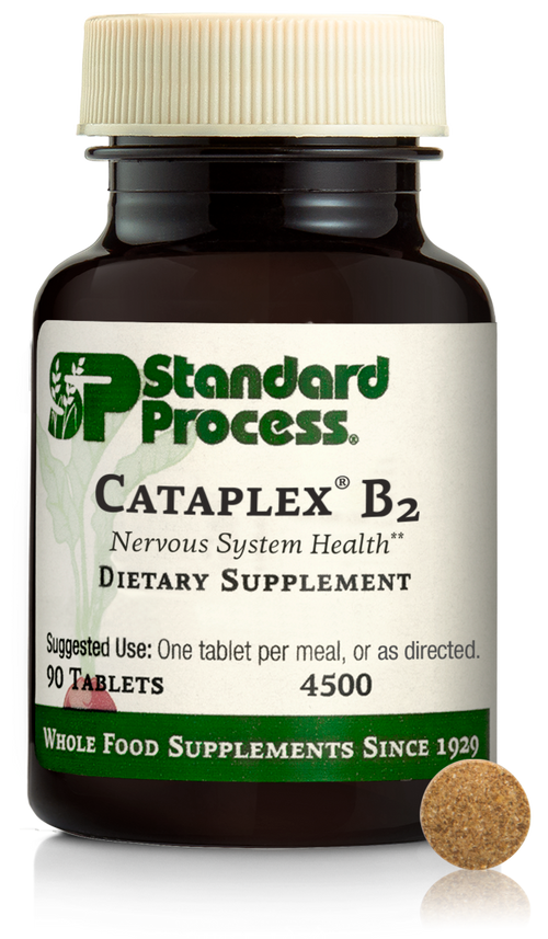 Cataplex® B2, 90 Tablets