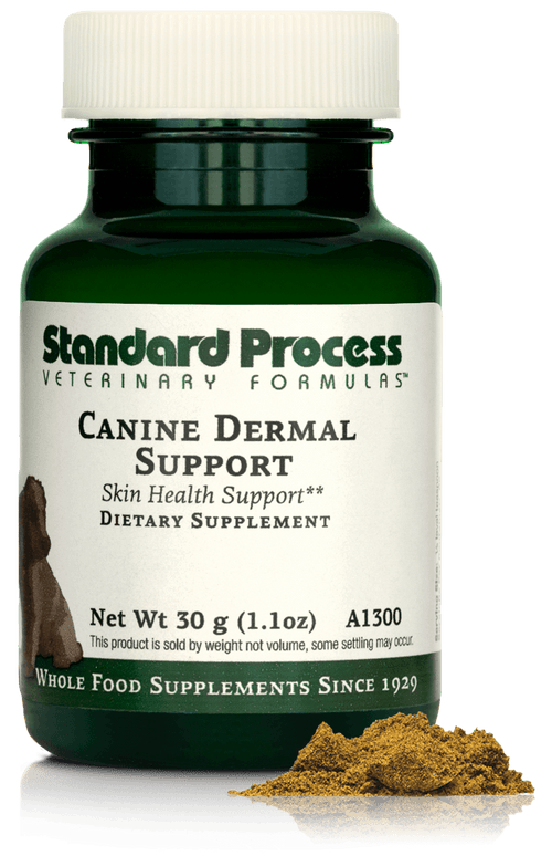 Canine Dermal Support, 1.1 oz (30 g)