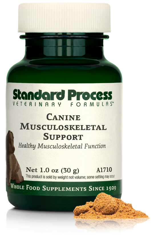 A bottle of Canine Musculoskeletal Support, a powder supplement for dogsā muscles, ligaments and bone health, next to an image of the powder supplement.