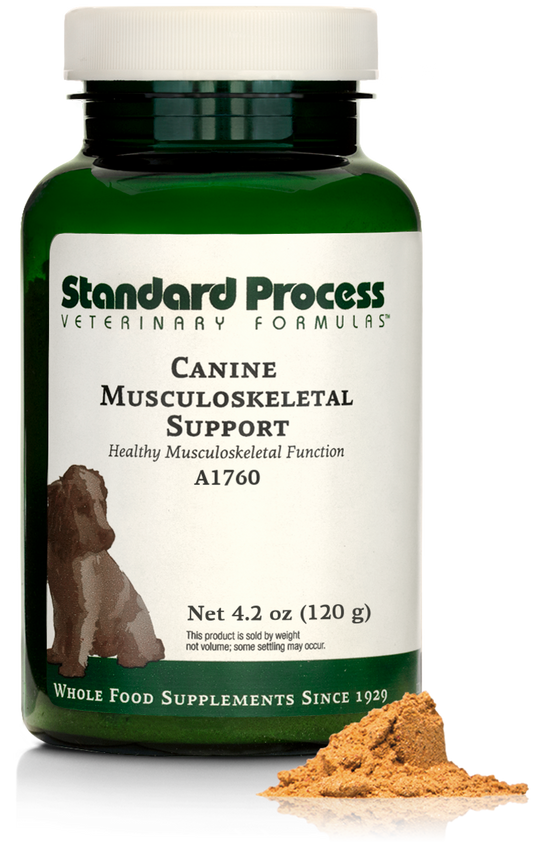 A bottle of Canine Musculoskeletal Support, a powder supplement for dogsā muscles, ligaments and bone health, next to an image of the powder supplement.