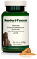 A bottle of Canine Musculoskeletal Support, a powder supplement for dogs’ muscles, ligaments and bone health, next to an image of the powder supplement.