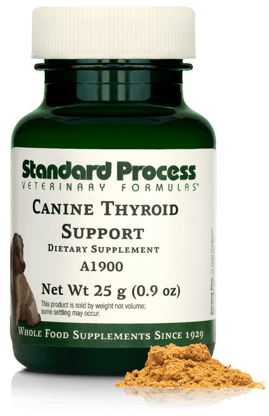 Canine Thyroid Support, 25 g