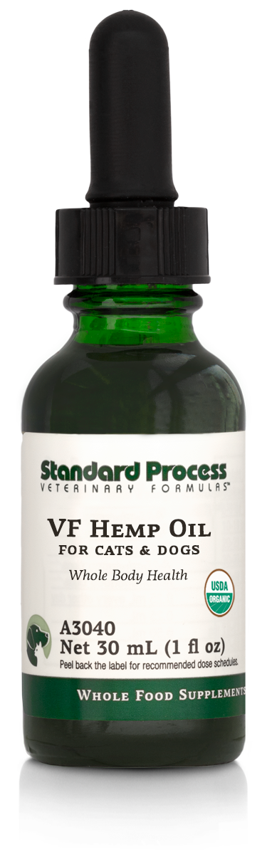 Image of a bottle of liquid VF Hemp Oil from Standard Process Veterinary Formulas next to a dropper that is included with the bottle.