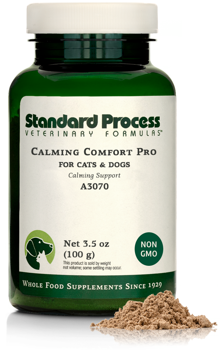 Best Selling Feline Products