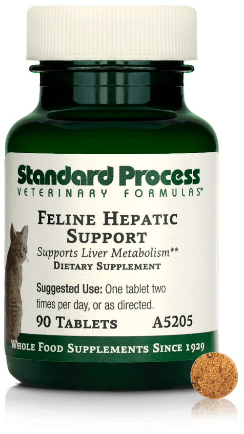 Feline Hepatic Support, 90 Tablets
