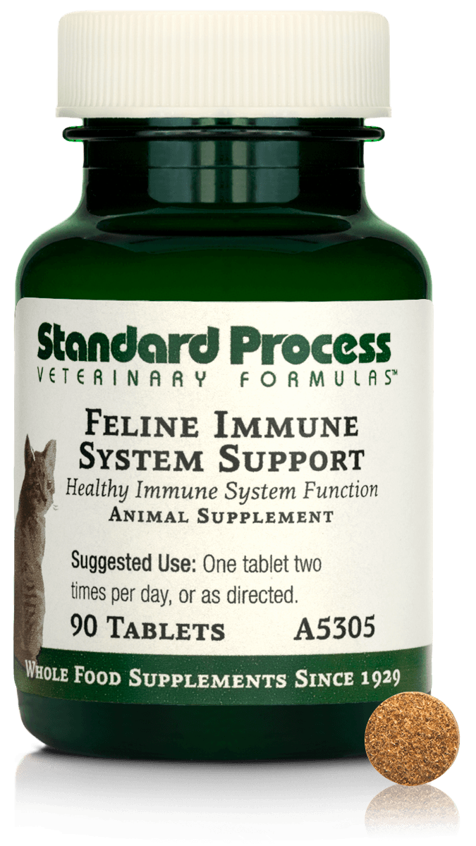 Best Selling Feline Products