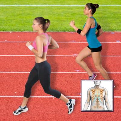 Healthy Bone and Joint Plan | Instructions and Whole Food Supplements | Standard Process